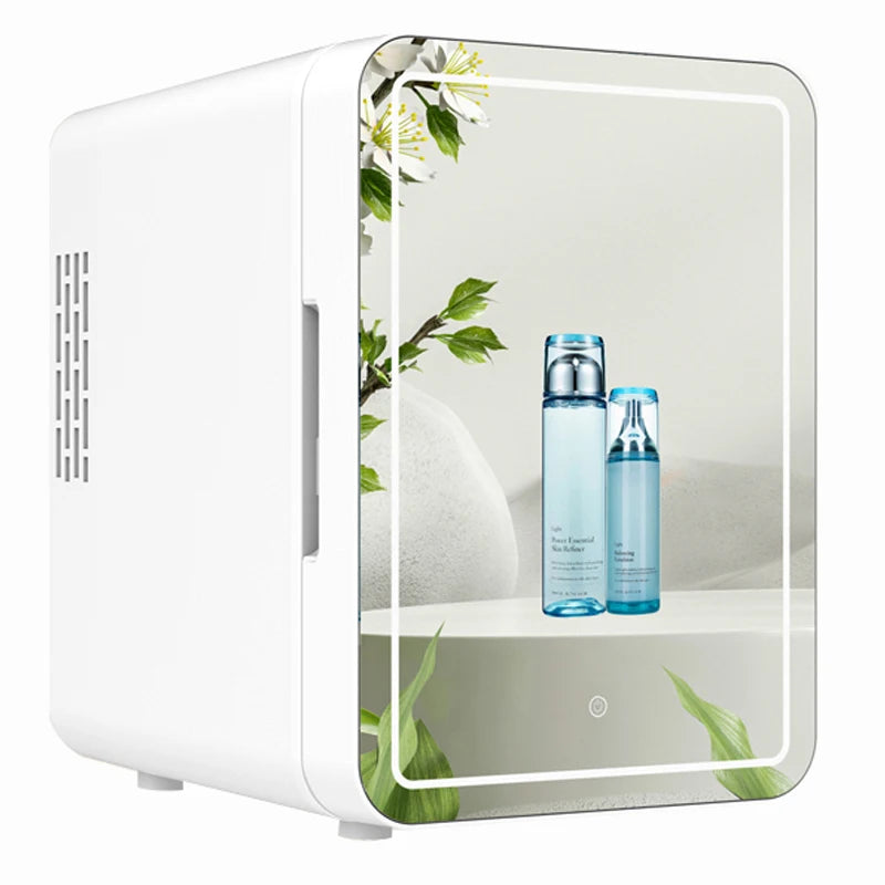 4L Mini Makeup Fridge with LED Light Mirror Portable Cosmetic Storage Refrigerator Keep Fresh Cooler for Home Car Dual Use